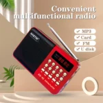 L-62 Mini Radio 4.5W Single Band Plug-in FM Radio MP3 Music Player Gift for the Elderly