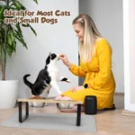 Elevated Cat Bowls Pet Feeder 15° Tilted Raised Cat Food Bowls with Wooden Stand 2 Stainless Steel Bowls for Cats and Puppy - Image 2